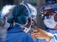 Investigators Identify Risk Factors for Fatty Liver of Living Donors