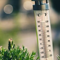 Rising Temperatures Detrimental to Renal Function in Heart Failure Outpatients 