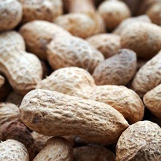 Mona Kidon, MD: Recent Changes in Immunotherapy Practices, Food Allergy Treatment