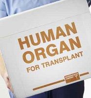 sirolimus, organ transplant, cancer risk transplant
