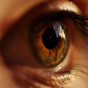 Multiple Genetic Variants Likely Underlie Early Onset Drusen Maculopathy