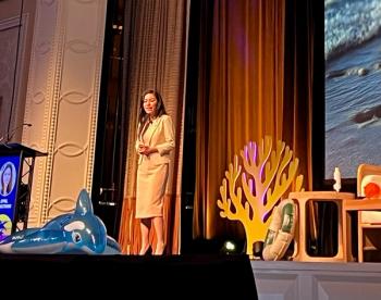 Strategies for Differentiating Hair Loss Disorders from Alopecia Areata