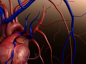 CHLA Takes On Trial of Potential Stem Cell Procedure in Treating HLHS
