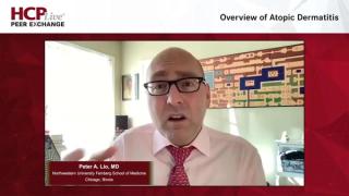 An Overview of Atopic Dermatitis