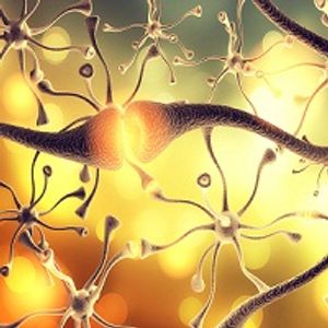 Putamen Volume Rates Vary Due to Age and Depressive Symptoms in the Elderly