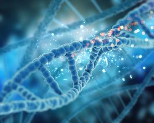 Alkaptonuria Patients See Several Benefits from Daily Nitisinone