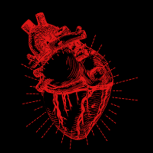 What Drives Cardiovascular Deaths, and What Can Correct It