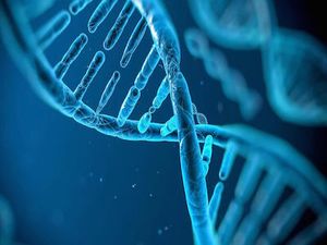Centogene's Rare Disease Database Hits One Billion Collected Alleles