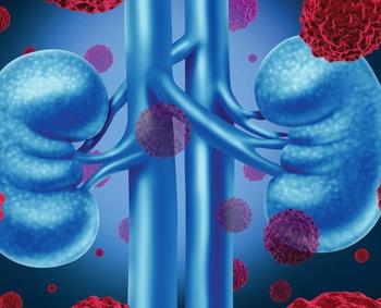 Kidneys | Credit: Fotolia