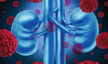 Kidneys | Credit: Fotolia