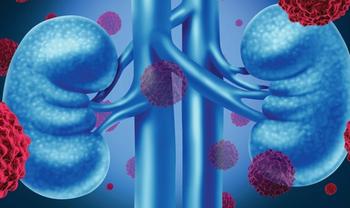 Kidneys | Credit: Fotolia