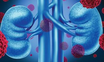 Kidneys | Credit: Fotolia