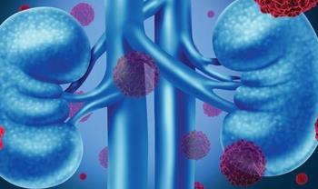 Kidneys | Credit: Fotolia