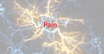 Possible Mechanism and Treatment for Fibromyalgia Reported