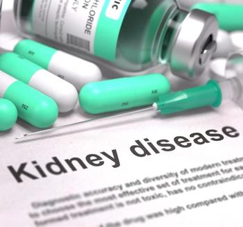 Kidney disease | Credit: Fotolia