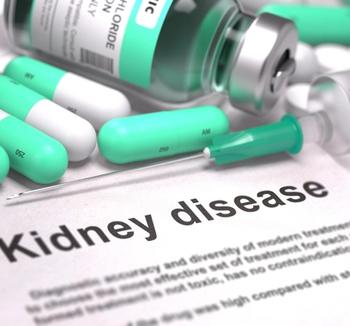 Kidney disease | Credit: Fotolia