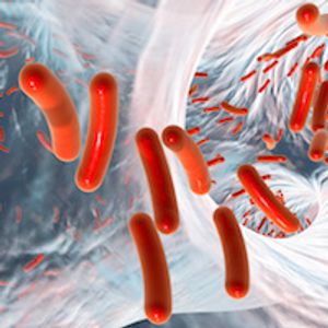C. Diff Foundation Highlights Latest Advances in the Battle Against the Deadly Pathogen