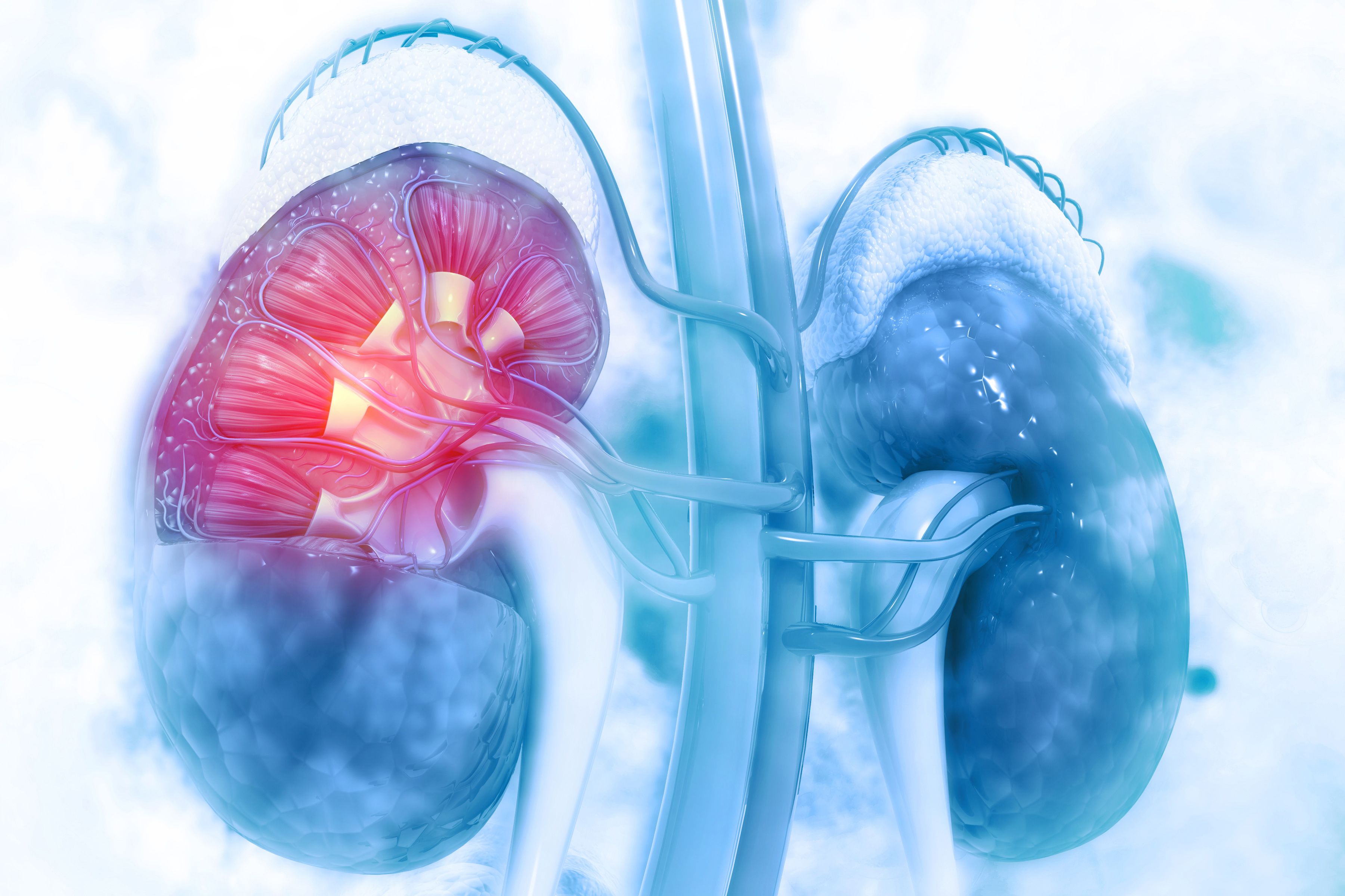 glp 1 inhibitors moa Glucagon-Like Peptide-1 Based Therapies: A New Horizon in Obesity Management
