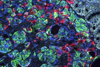 Diabetes Cured in Lab Mice Using CRISPR Gene Editing