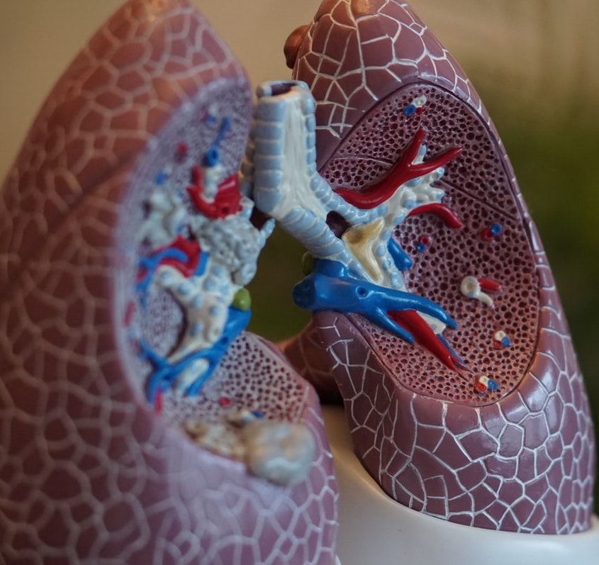 Proton Pump Inhibitors Linked to COPD Progression and Exacerbation | HCPLive