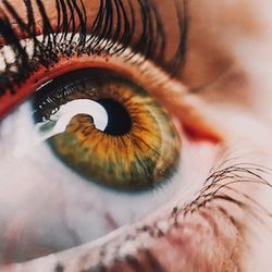 Ophthalmic Bevacizumab Faces Revised Regulatory Path After Type A Meeting