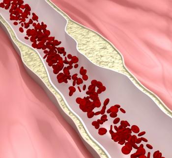 Time-Restricted Diets Elicit No Changes in Blood Pressure