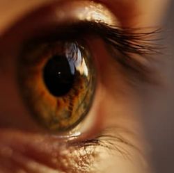 Perfluorohexyloctane Drops Rapidly Improved Symptoms of Dry Eye Disease 