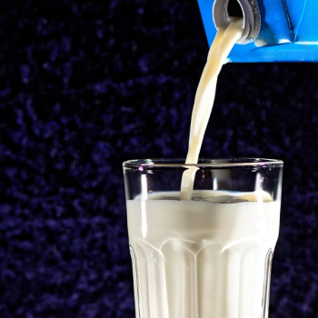 Milk | Credit: PixaBay