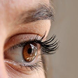 Apellis Reviewing Retinal Vasculitis Cases in Pegcetacoplan-Treated GA Patients