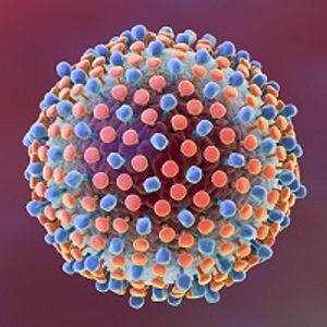 Study Questions Long-Term Outcomes of Direct-Acting Antivirals in Treating Hepatitis C