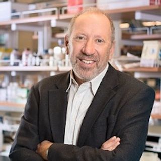 Richard Gallo, MD, PhD: Future Research Opportunities on Skin Microbiome