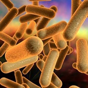 Prevention and Control Strategies for Clostridium difficile
