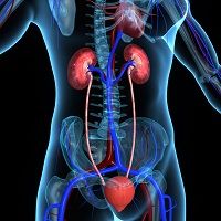 Japanese Study Links Ra Inflammation With Incidence Of Kidney Disease Japanese Study Links Ra Inflammation With Incidence Of Kidney Disease