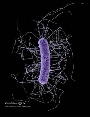 C difficile Infections Increasing, Becoming More Difficult to Treat