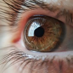 Growing Prevalence Of Diabetic Retinopathy Observed Among Medicare Beneficiaries 