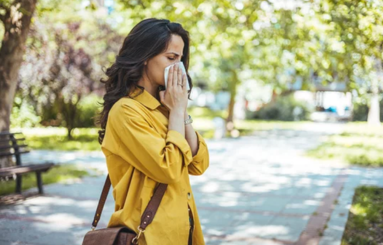 Credit: Adobe Stock/ Dragana Gordic