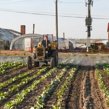 Organophosphate Pesticide Exposure Linked to Atopic Dermatitis Risk