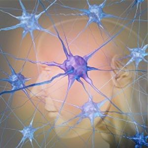 Treatment with Alemtuzumab Might Be â€˜Resetting' the Immune System in Patients with Relapsing-Remitting Multiple Sclerosis