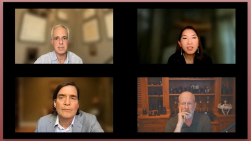 Shaping the Future of Retinal Vascular Disease Treatment 