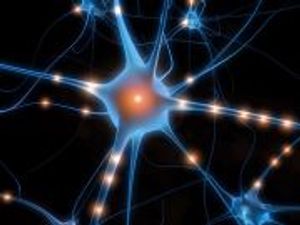 Evaluating Treatments for Painful Diabetic Neuropathy