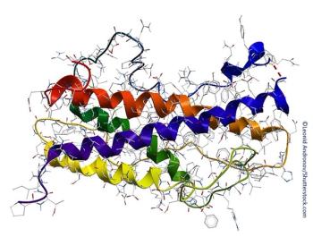 Human growth hormone deficiency