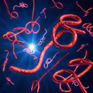 First Treatment Proven to Work Against Ebola Virus