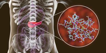 Small Rises in Blood Sugar Cause Major Changes in Gene Expression In Pancreatic 