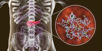 Small Rises in Blood Sugar Cause Major Changes in Gene Expression In Pancreatic