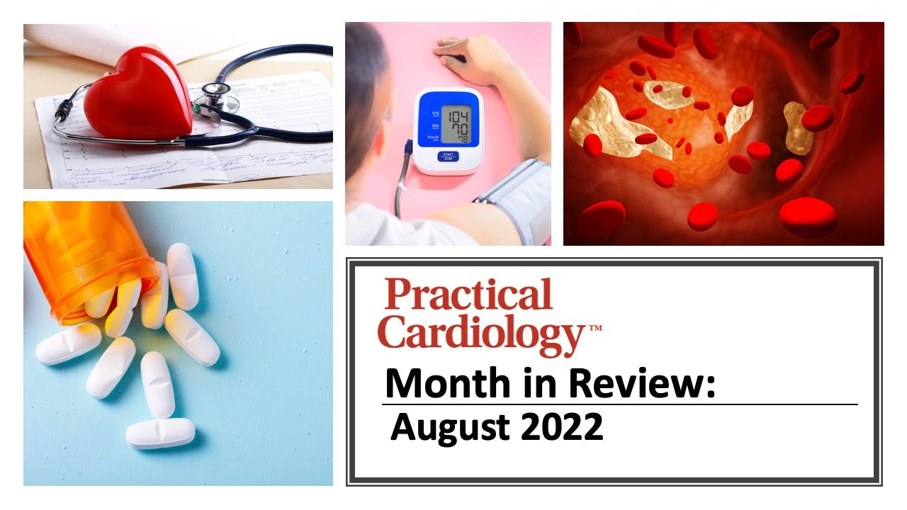 Collage of thumbnails from most popular stories in August 2022
