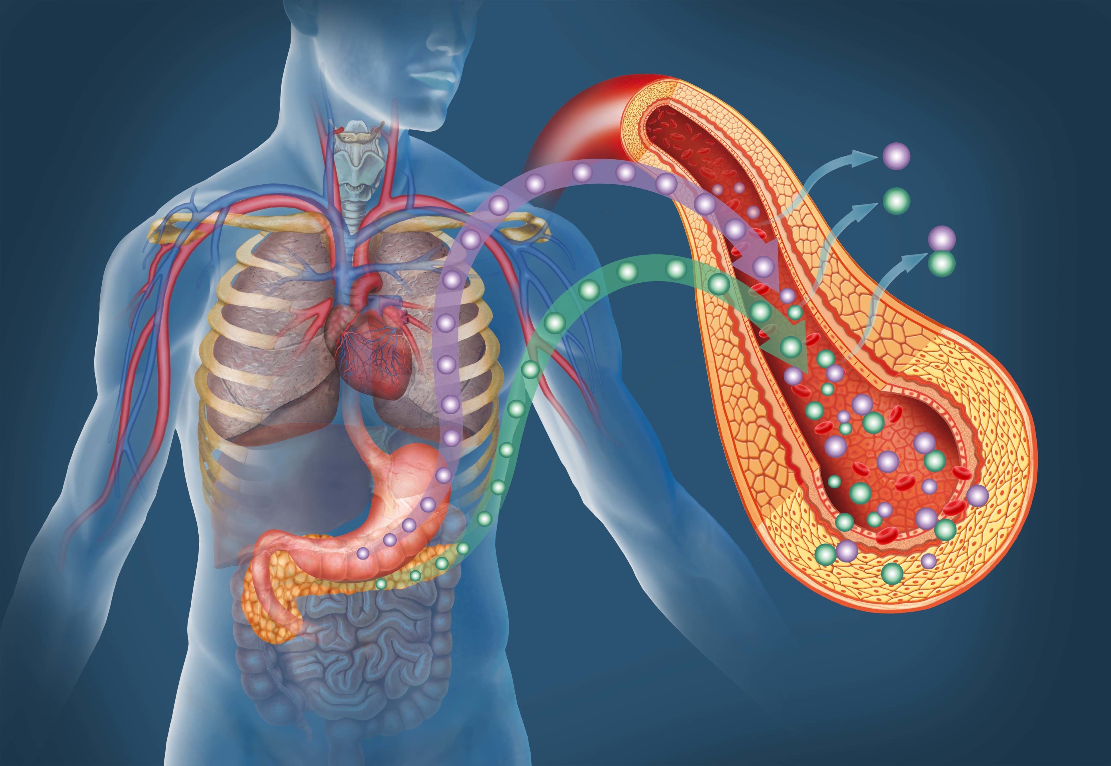Diabetes heart disease 