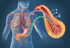 Diabetes heart disease 