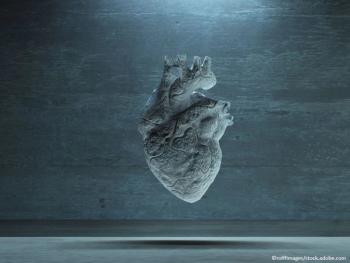 Heart translplant, reperfusion 