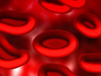 Blood cells | Credit: PixaBay