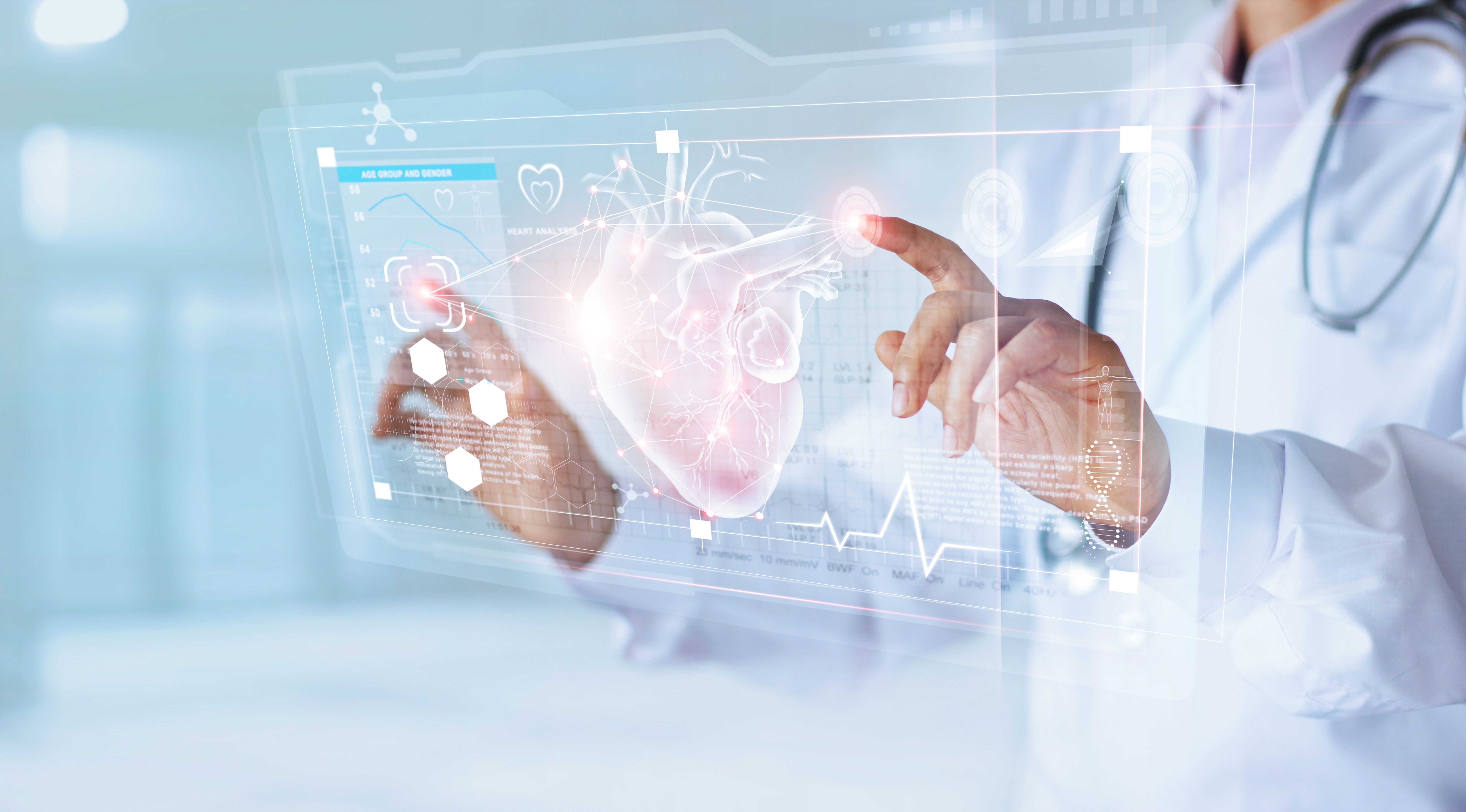 Health care provider interacting with a digital display of a heart